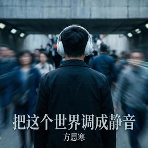 把这个世界调成静音