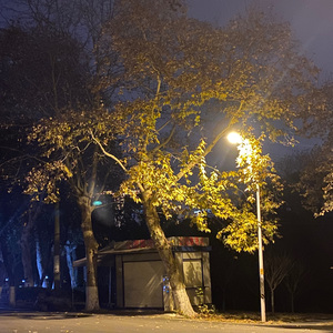 总有一天你会出现在我身边