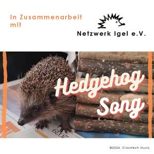 Hedgehog Song