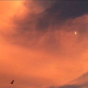 我的孤独认出你的孤独（Soul）