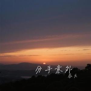 分手意外 (Cover 袁小葳)