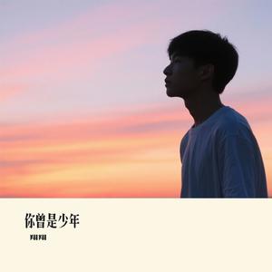 你曾是少年