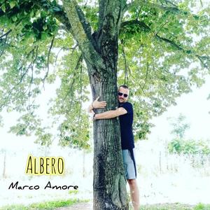 Albero