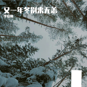 又是一年冬别来无恙