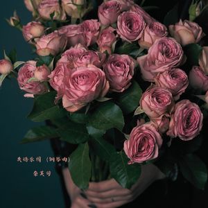 失语乐园 (钢琴曲)