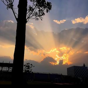 等我熬过了所有的苦-李英