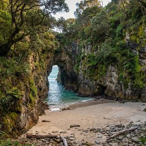 Hidden Shores