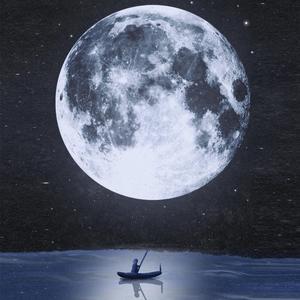 시들어진 장미일 뿐