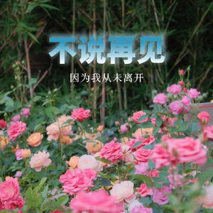 予你晴天