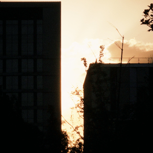 人間 気持ち悪い