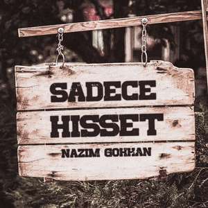 Sadece Hisset
