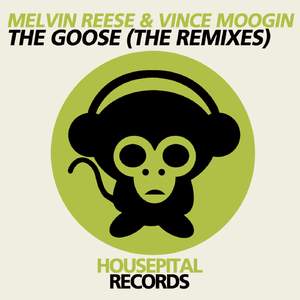 The Goose (Jay Mocio Remix)