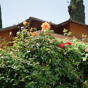 When I'm With Her. (feat. Two Sleepy)