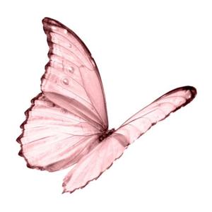 那个人（翻自 群星）