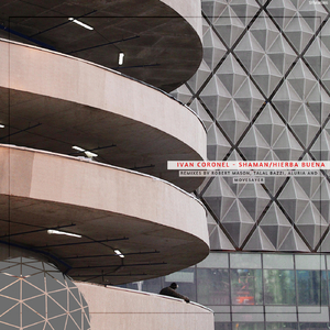 Shaman (Robert Mason Remix)