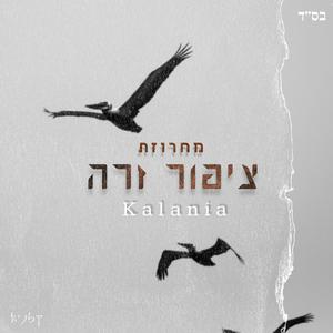 מחרוזת ציפור זרה