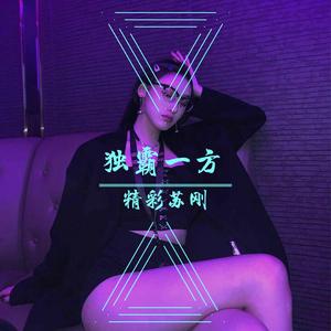 Baby K-Voglio ballare con te（抖音 Mix）（精彩苏刚 remix）