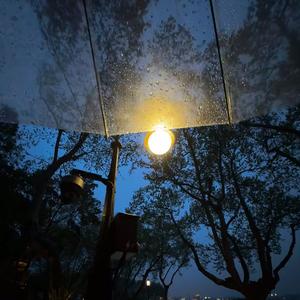 我不放弃爱的勇气