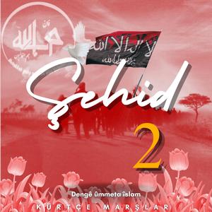 Em Şeriat Dığawzın