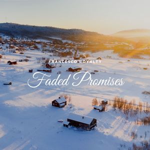 Faded Promises