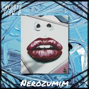 Nerozumim (feat. Slow B & Benjamin Mee)
