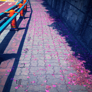 그림자