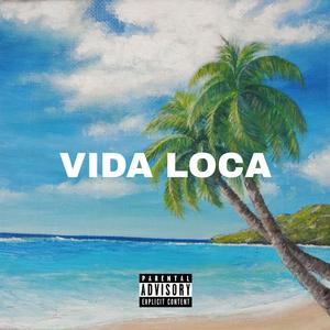 Vida Loca