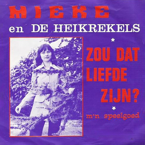 Zou Dat Liefde Zijn?