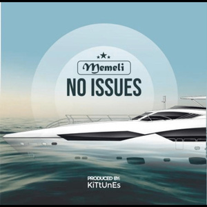 No Issues