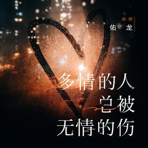 多情的人总被无情的伤 (新版DJ阿卓版)