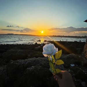 《激昂的斗志燃烧》