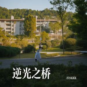 逆光之桥