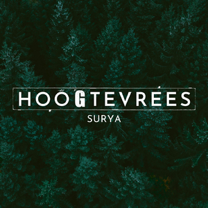 Hoogtevrees