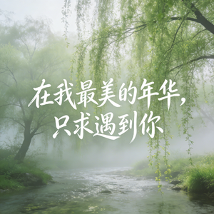 在我最美的年华，只求遇到你