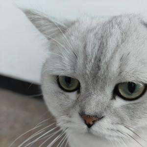 中巴车带我回家_入戏太深(2)(1)_QQ浏览器格式转换_QQ浏览器转格式