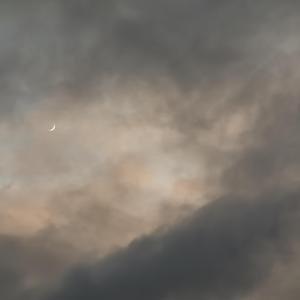 我想要（翻自 明日之子）