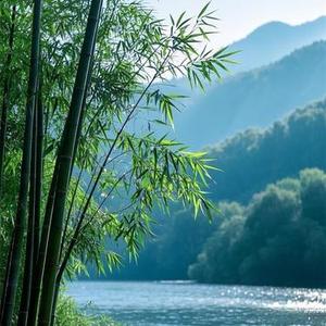 花开一场梦