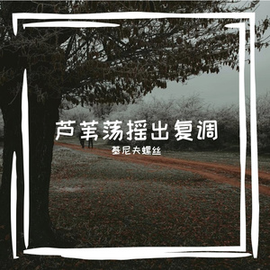 芦苇荡摇出复调