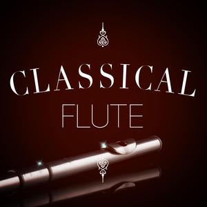 Flute Concerto No. 2 in D Major, K.314: I. Allegro aperto