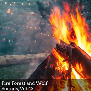 Night Crashing Waves