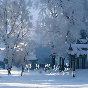 那年的那场雪