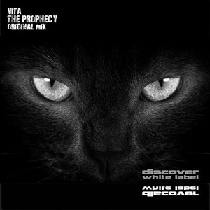 The Prophecy (Original Mix)