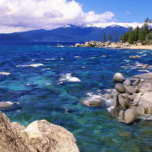 谁说梅花没有泪