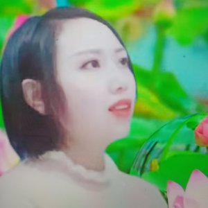 来生愿做一朵莲