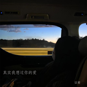 其实我想过你的爱