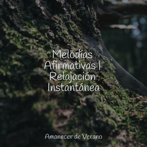 Deslumbrante Descenso hacia la Soledad