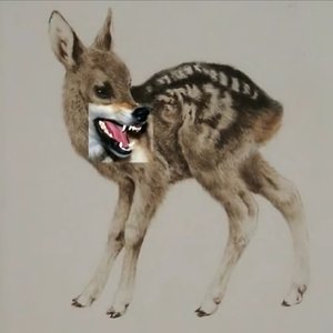 像珍惜自己一样 珍惜那些同样珍惜你的人