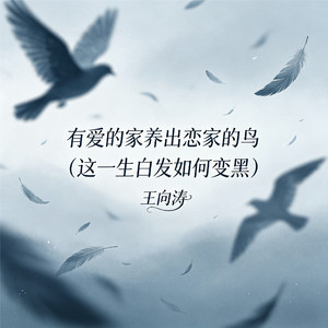 有爱的家养出恋家的鸟(这一生白发如何变黑)