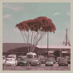 How Much More Do I Need