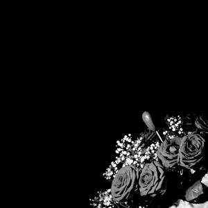 Haiku Interlude (feat. Young Cuban Lit)